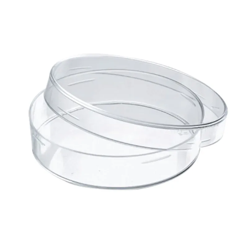 CAJA PETRIC